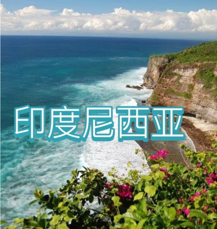 国际电商(印尼)产业博览会冰球突破豪华版2025中国(图2)